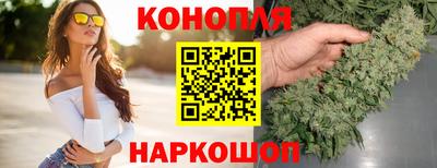 прущие грибы Кингисепп