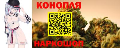 прущие грибы Кингисепп
