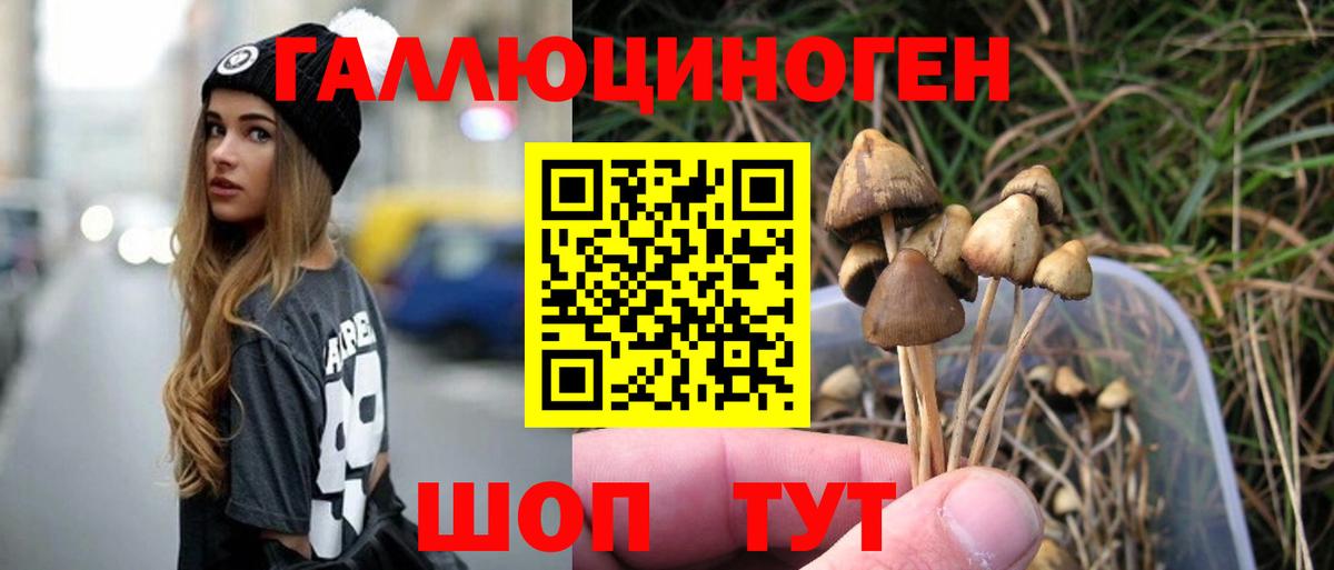 Галлюциногенные грибы мухоморы Кандалакша